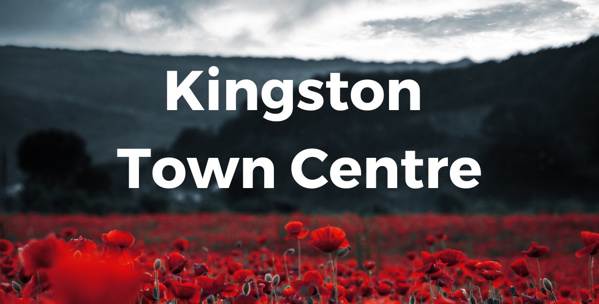 Kingston Town Centre Remembrance