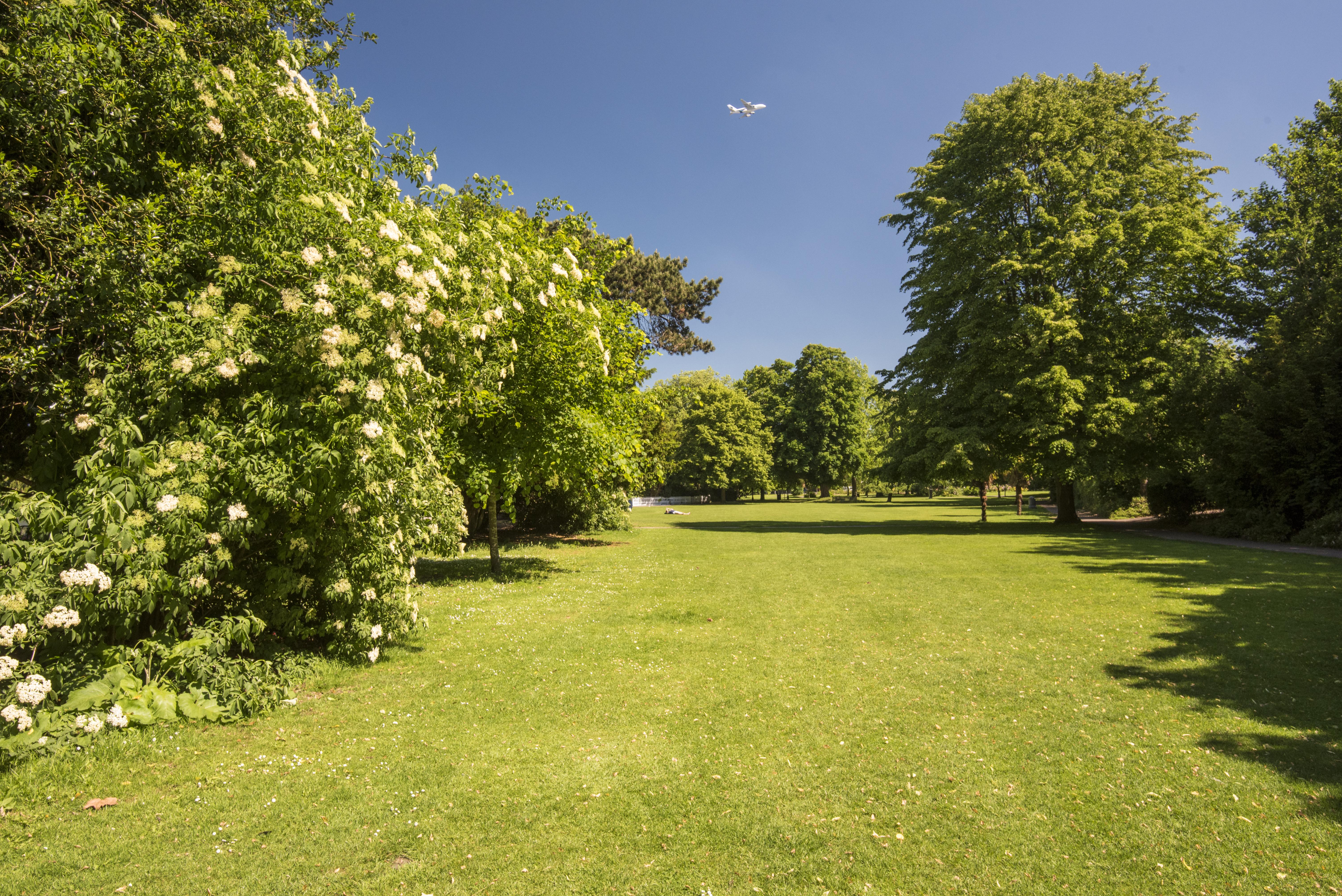 Canbury Park Gardens bursting with green colour
