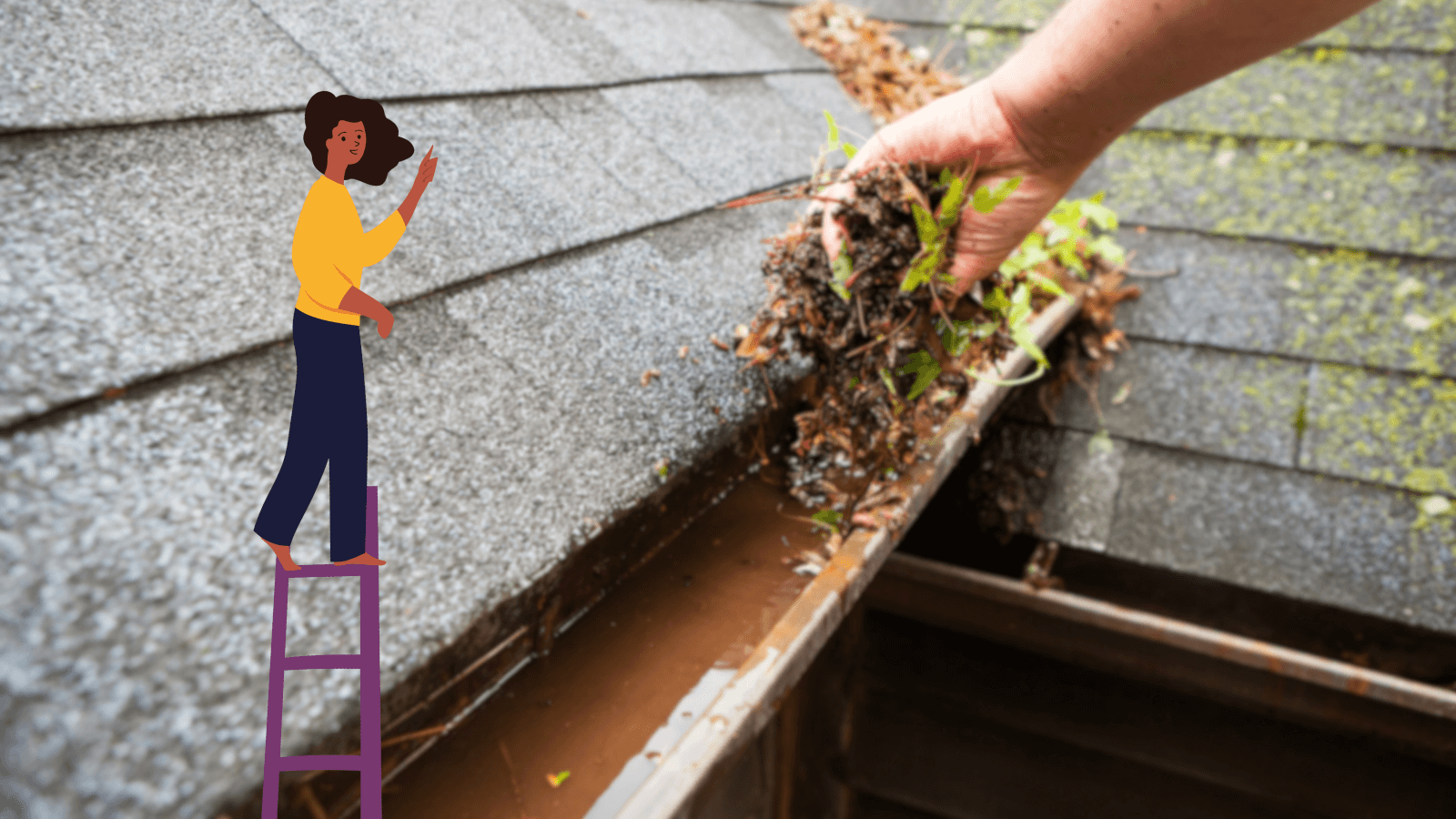 : A cartoon figure of a lady with a yellow top stands on a ladder while watching a person clear their gutter of