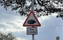 Hedgehog sign